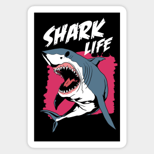 Shark Life Sticker